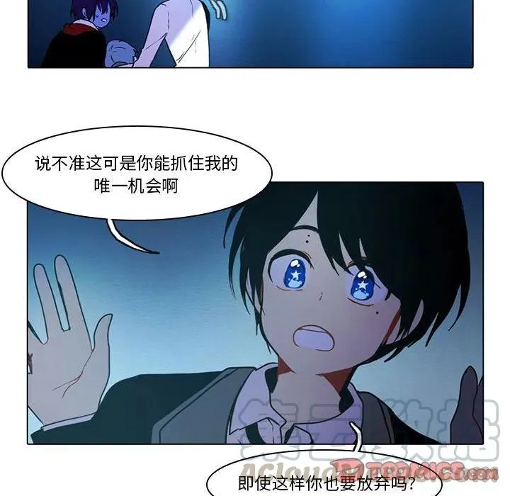 51 第13页
