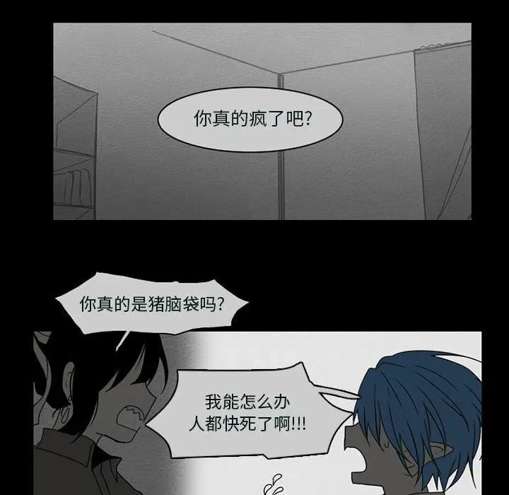 53 第23页