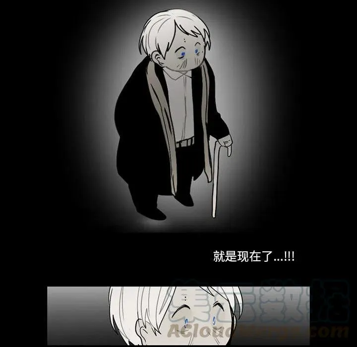 61 第43页