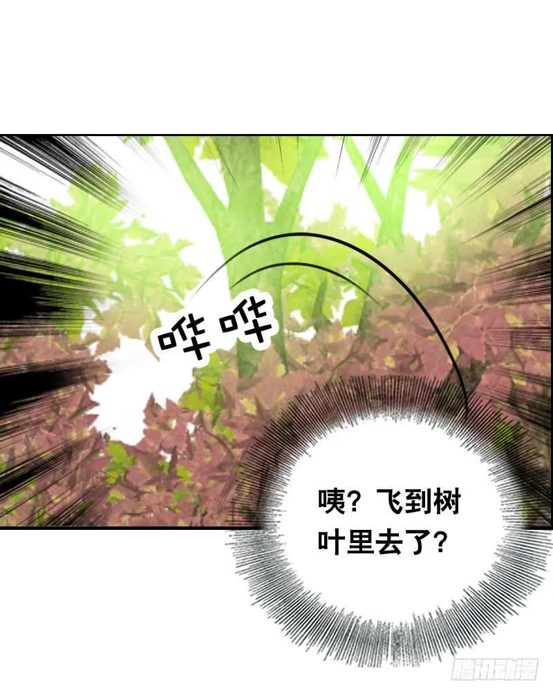 012 许愿条不给力！ 第31页