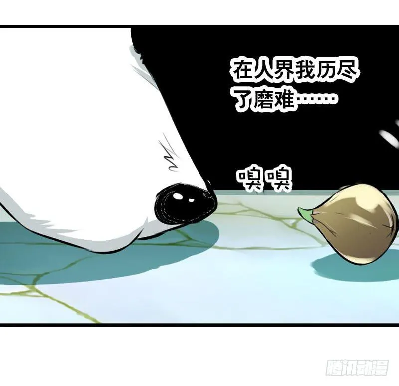 018 来自仙界的种子 第27页