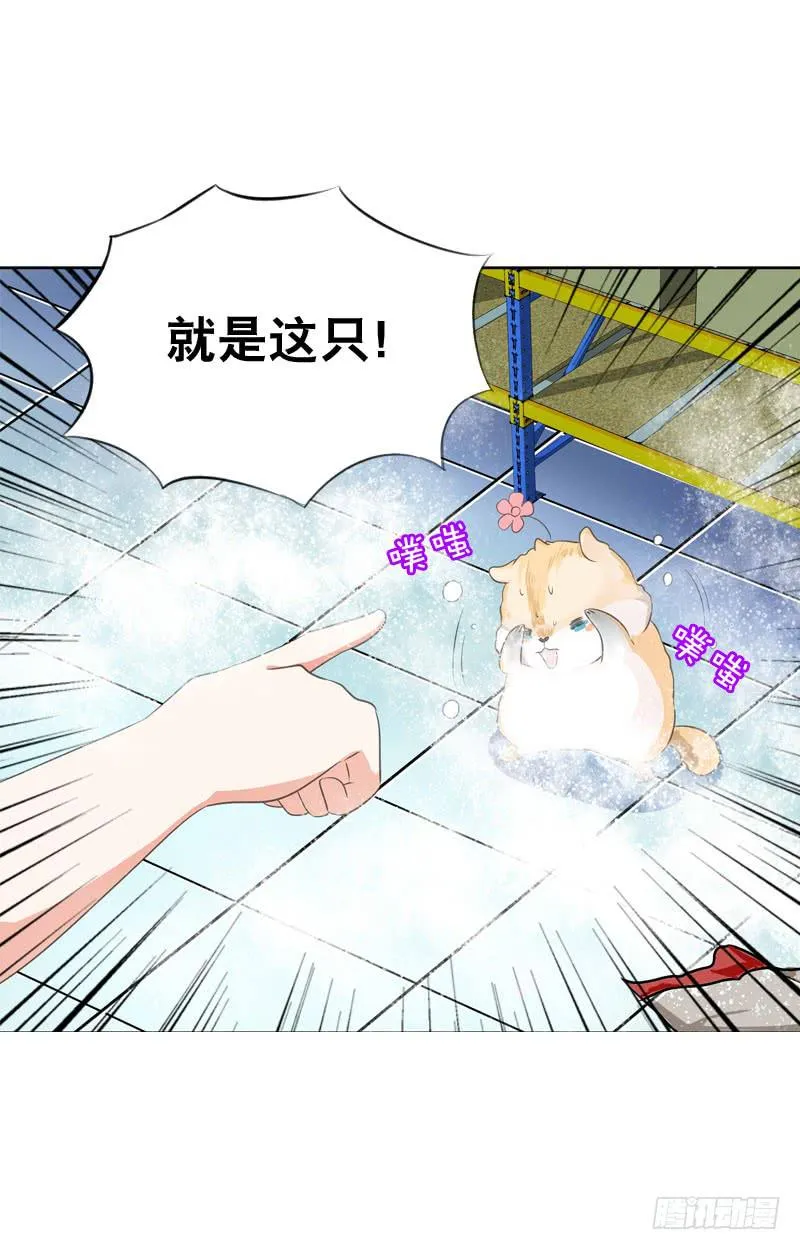 067 炙手可热的远遥 第15页