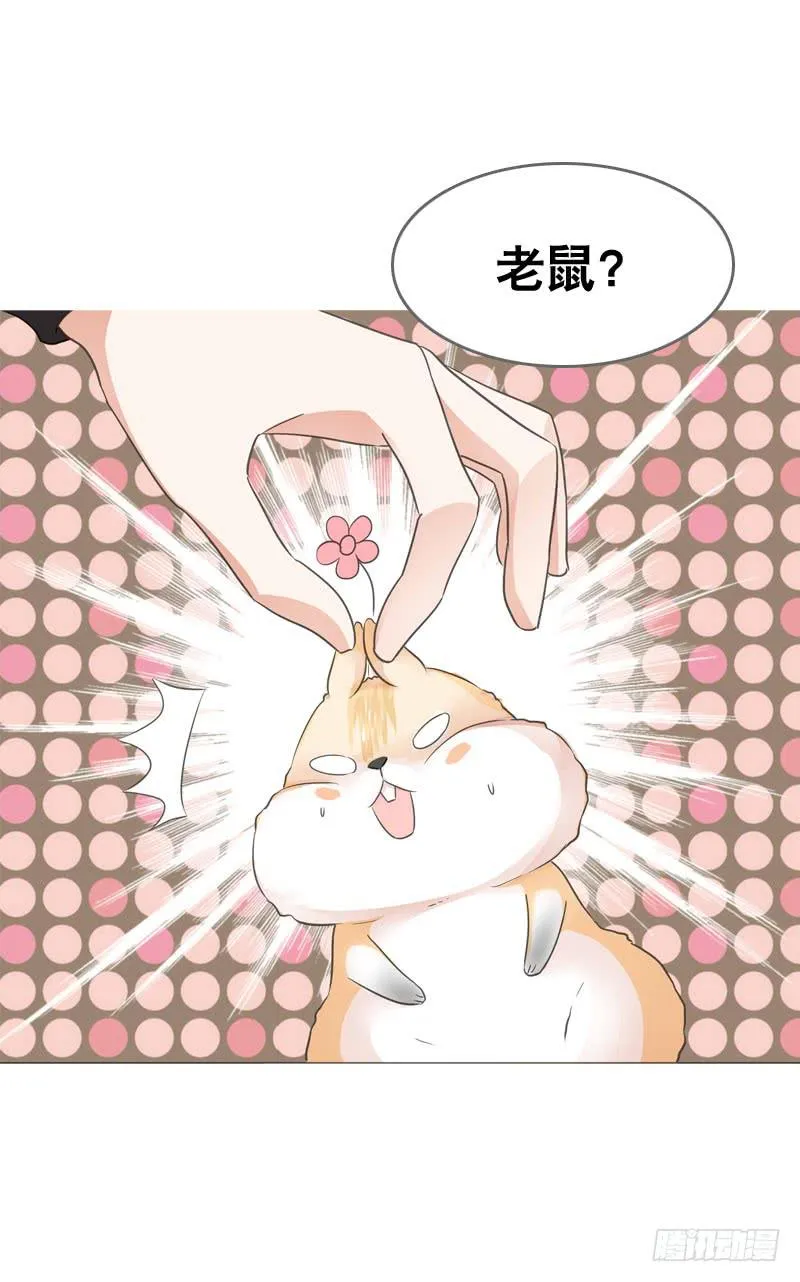 067 炙手可热的远遥 第16页