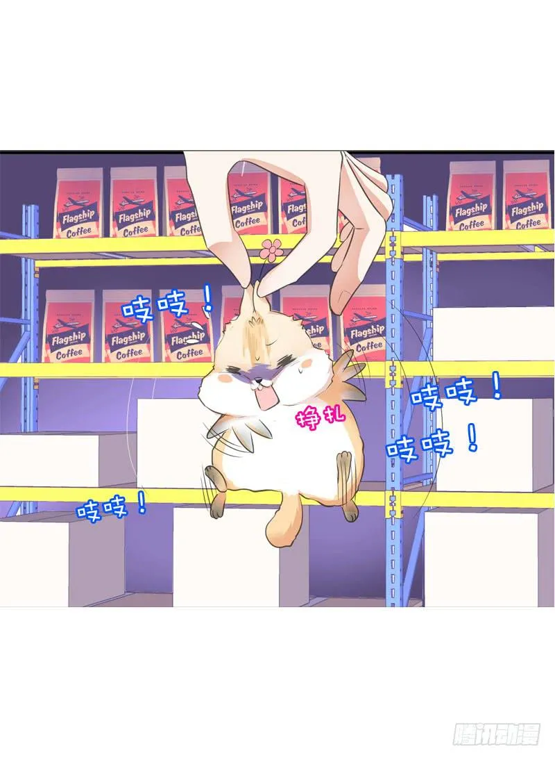 067 炙手可热的远遥 第17页