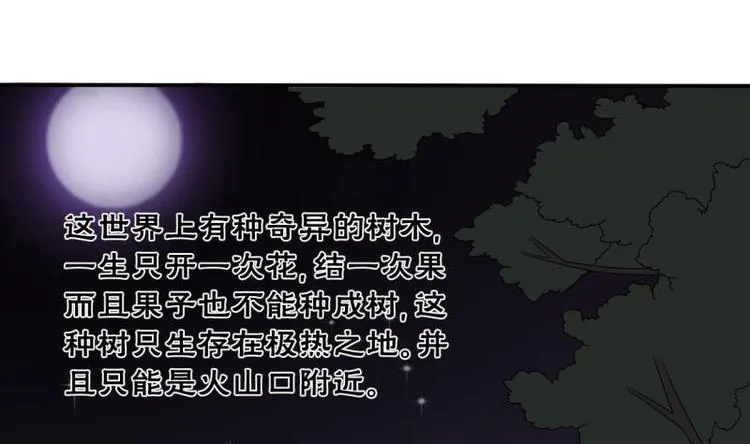 第14话 火阳果 第27页