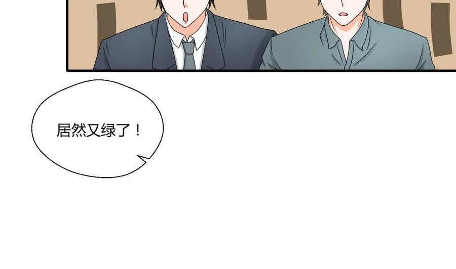 第144话 帝王绿 第4页