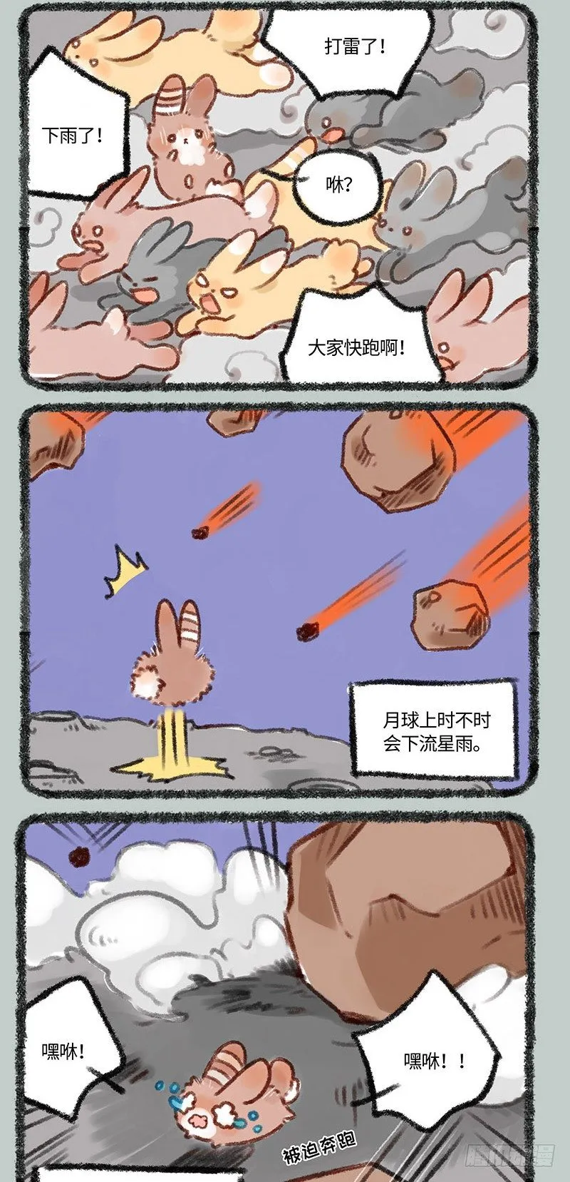 小兔兔成长记 第2页