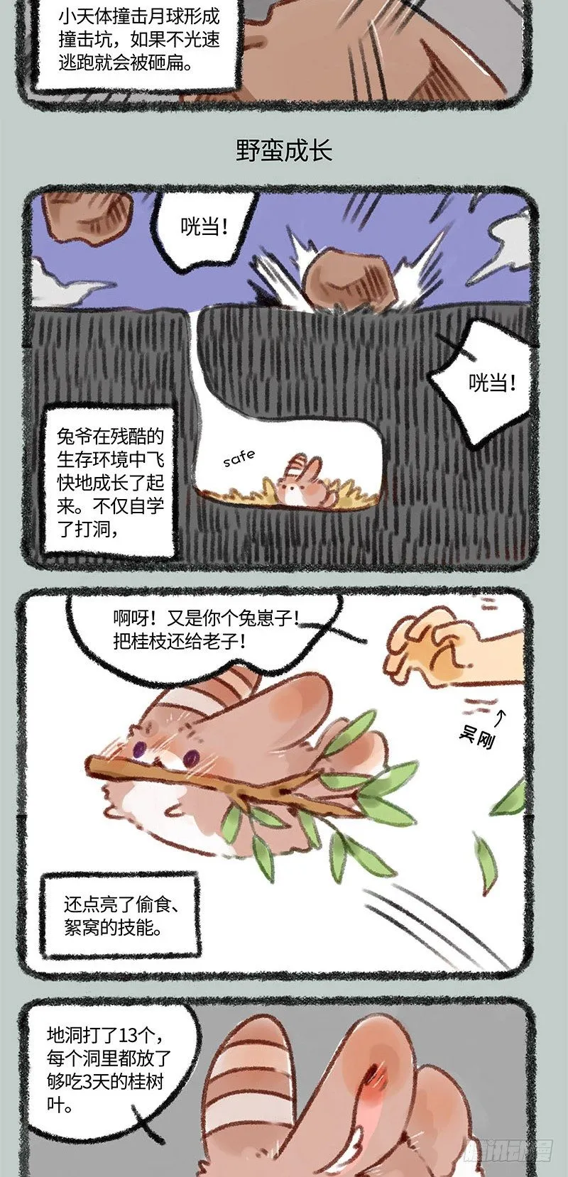 小兔兔成长记 第3页