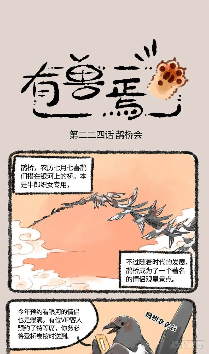 情人节？ 第1页