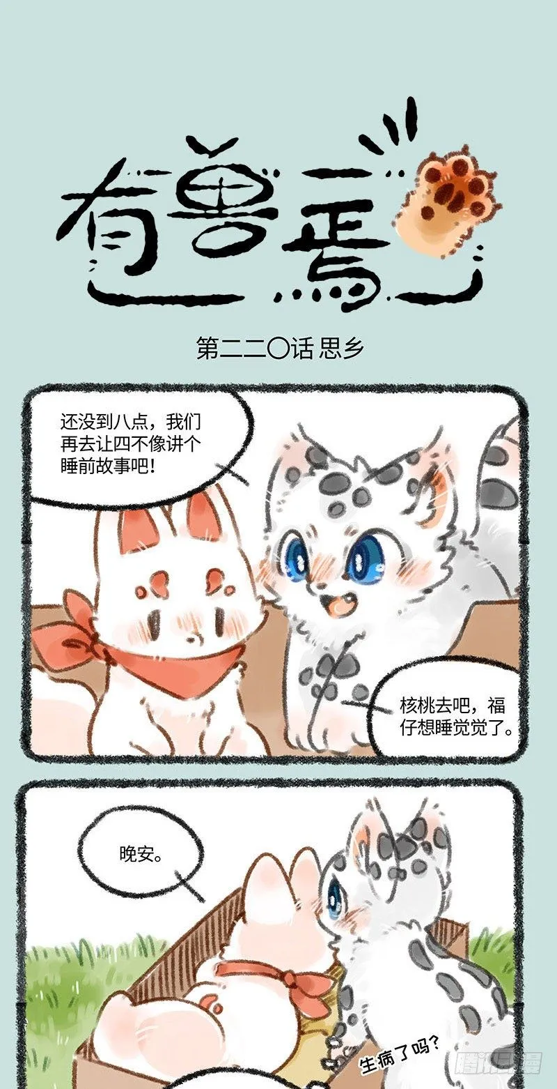 花火会 第1页