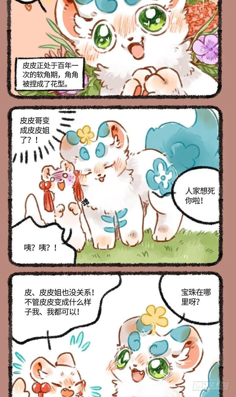 皮皮花 第2页