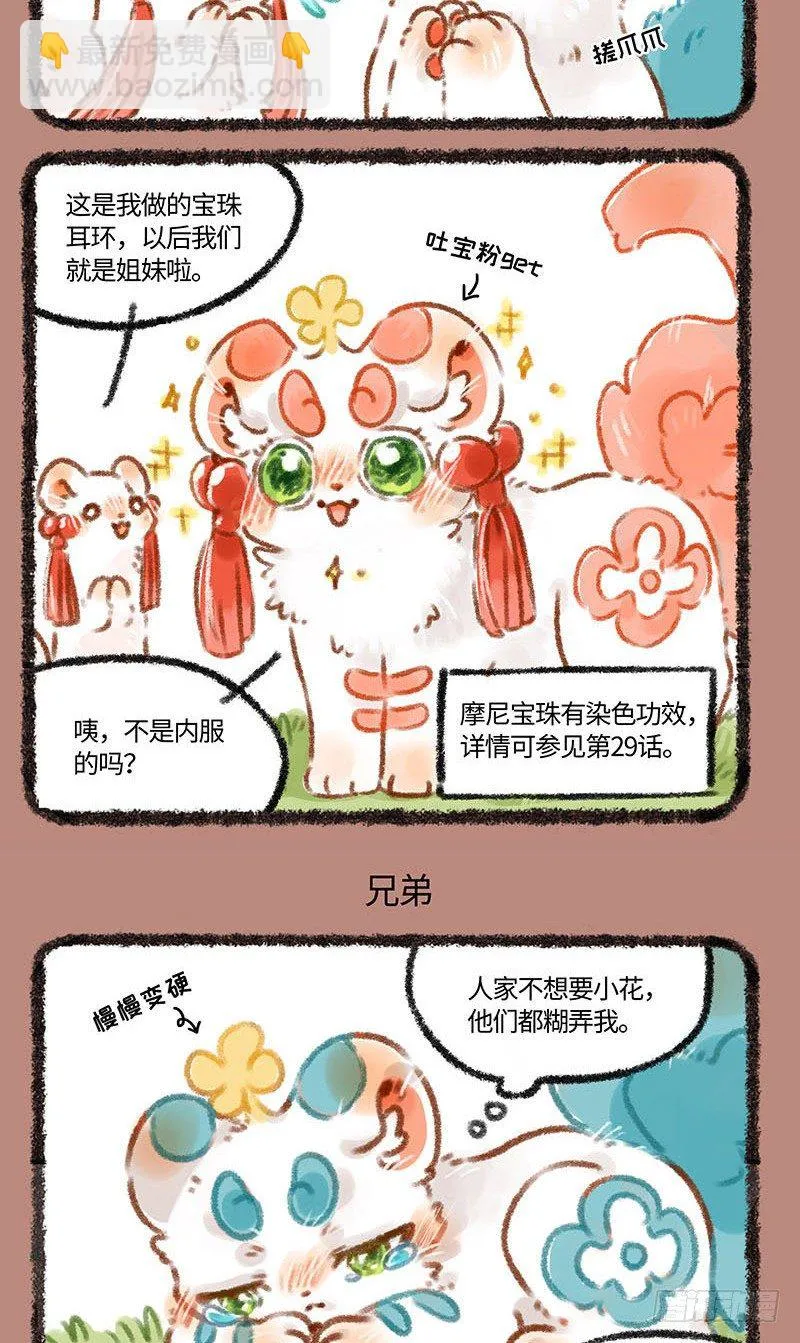 皮皮花 第3页