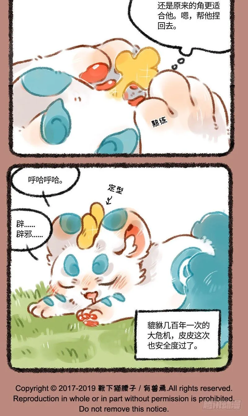 皮皮花 第5页
