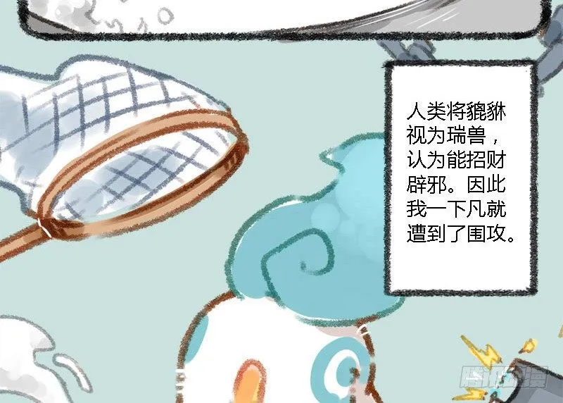 人间有神兽，来自九重天 第5页