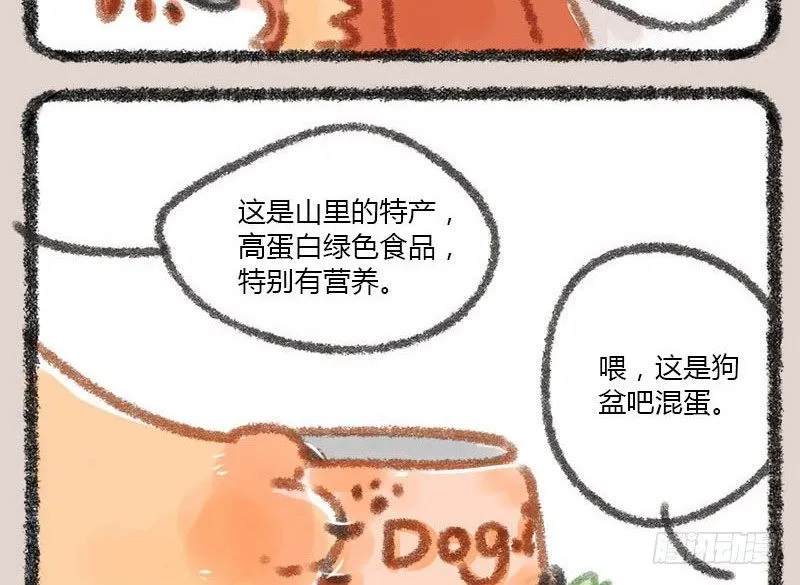 有朋自远方来，不亦招呼 第17页