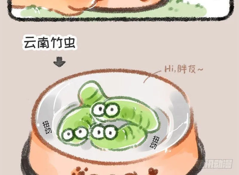 有朋自远方来，不亦招呼 第18页