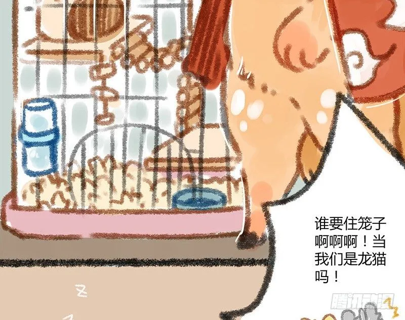 我本布衣 第15页