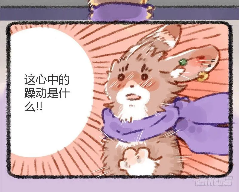 有美人兮，见之不忘。 第10页
