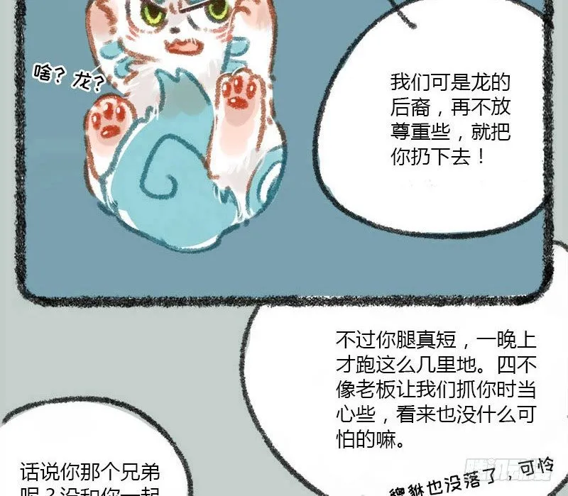 兵贵神速，咪咪咪咪 第13页