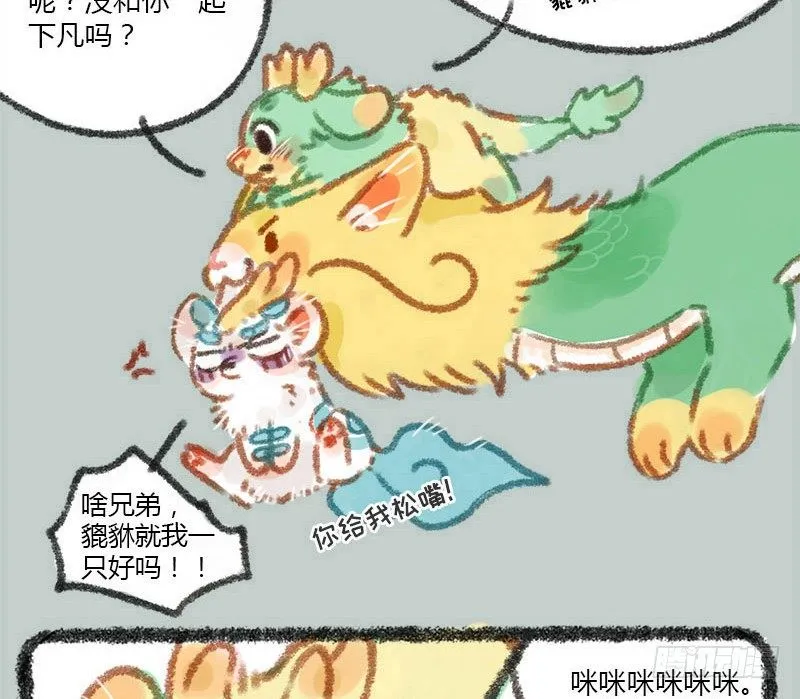 兵贵神速，咪咪咪咪 第14页
