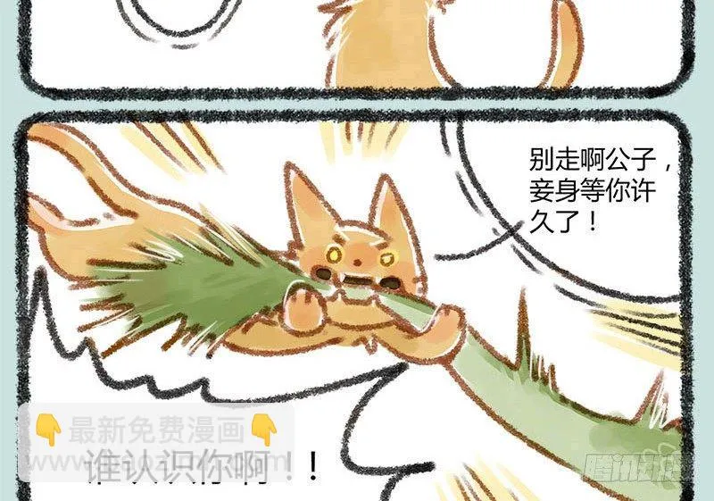 人生若只如初见，一不小心生俩蛋 第11页