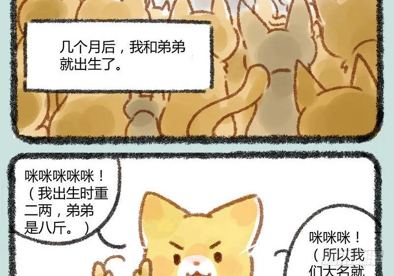人生若只如初见，一不小心生俩蛋 第15页