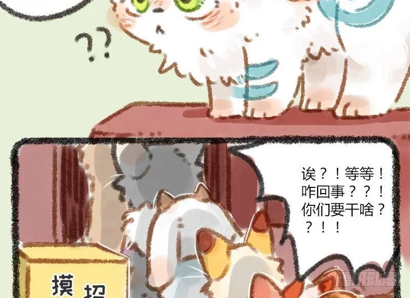 生活所迫，挂牌接客 第6页
