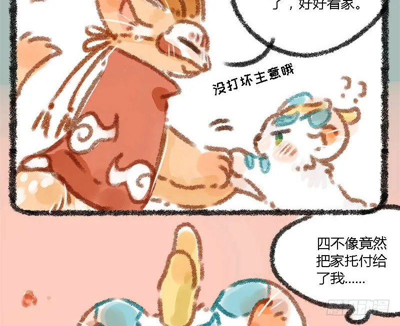 执子之手，赢完就走 第5页