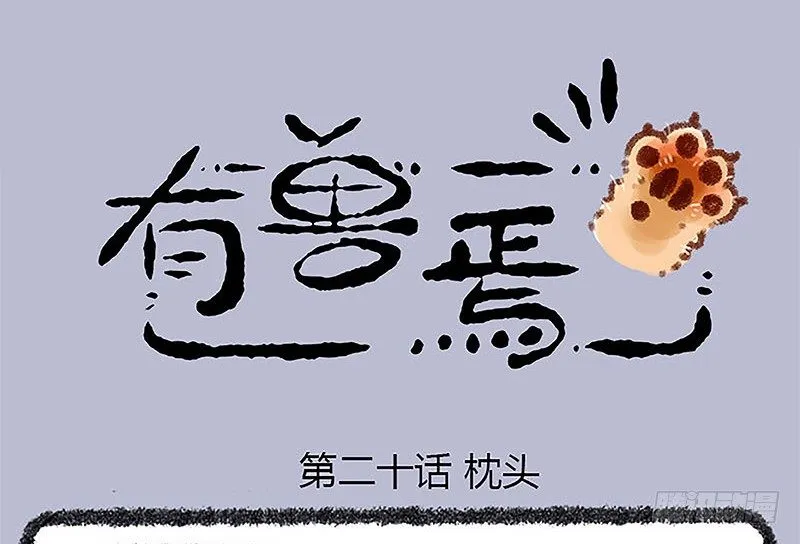 山穷水尽疑无路，白泽枕头治头秃 第1页