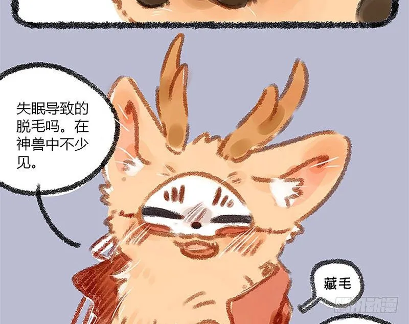 山穷水尽疑无路，白泽枕头治头秃 第5页