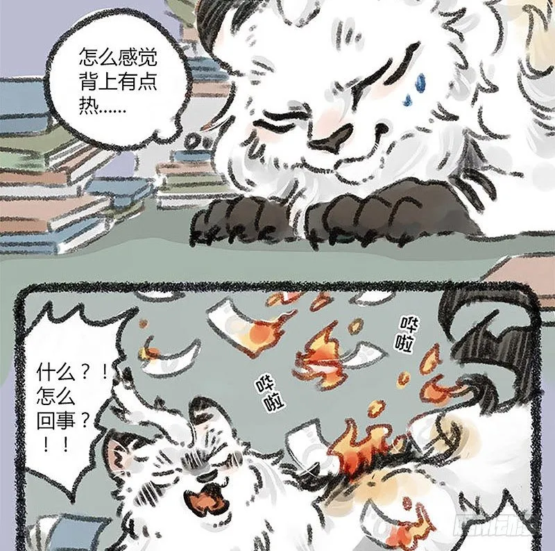山穷水尽疑无路，白泽枕头治头秃 第13页