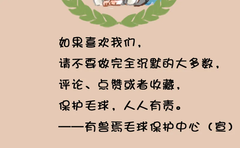 人间巧艺夺天工，打洞装修价不同 第15页