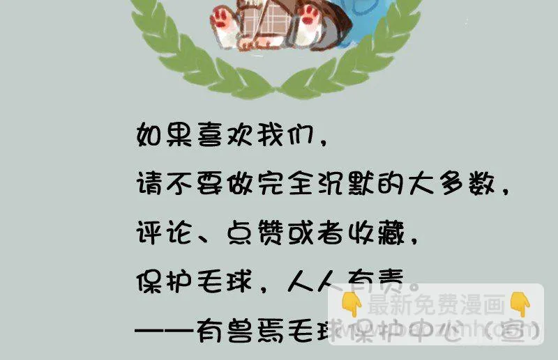 掌无尽财富，满众生愿福 第15页