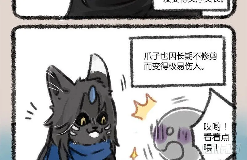 山河不足重，重在遇知己 第3页