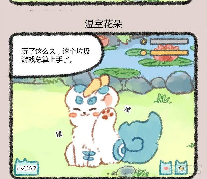 家养貔貅能招财！ 第7页