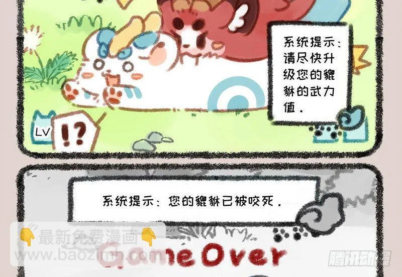 家养貔貅能招财！ 第11页