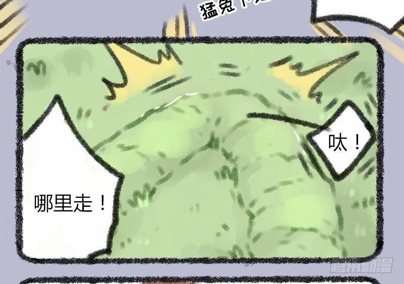 家养神兽失踪 第5页
