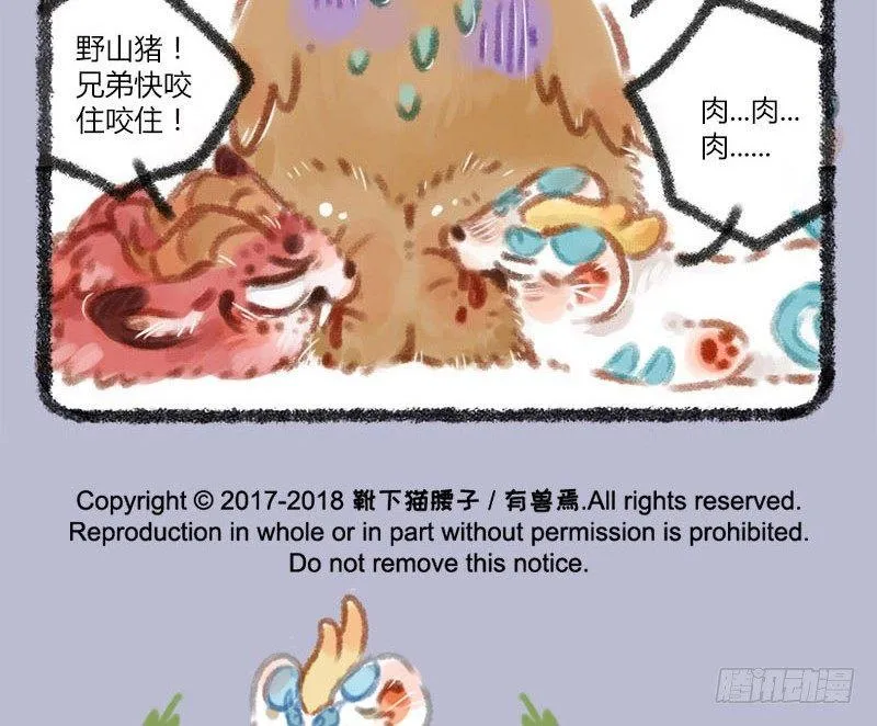 家养神兽失踪 第11页