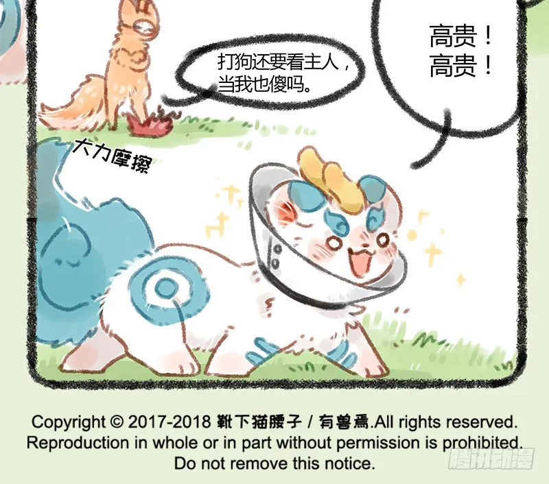 连法宝都有对象，你呢？ 第11页