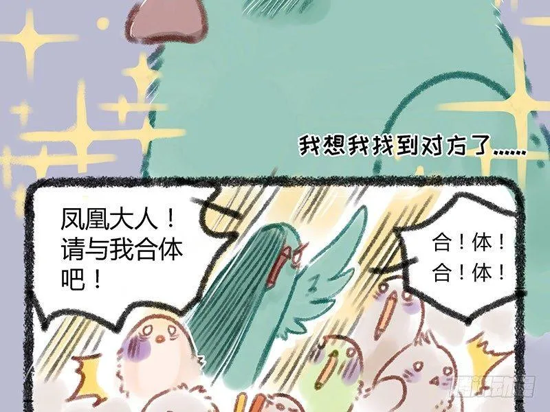 霸道明星小粉丝 第11页