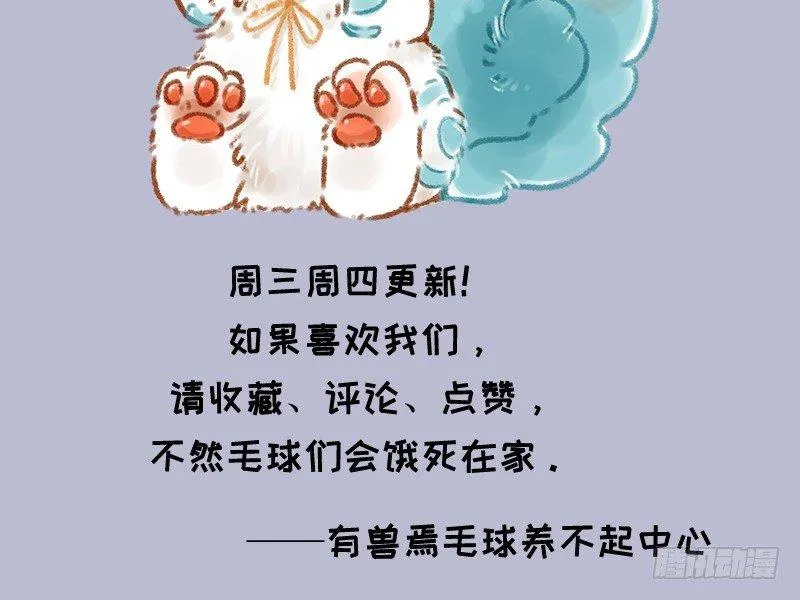 霸道明星小粉丝 第13页
