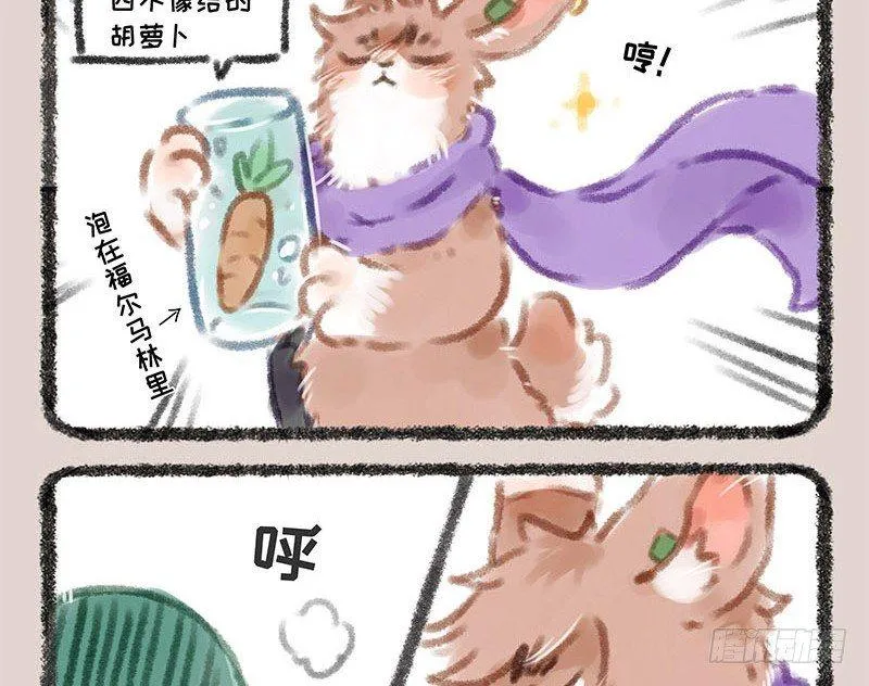 同为天涯追星人 第10页