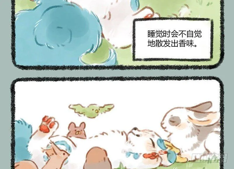 养貔貅要准备什么 第3页