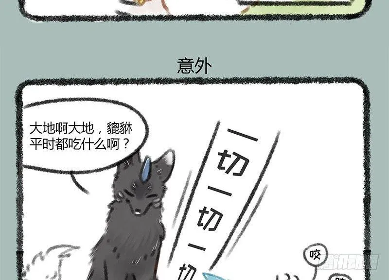 养貔貅要准备什么 第7页