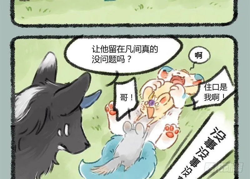 养貔貅要准备什么 第9页