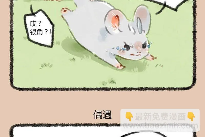 鼠生艰难 第6页