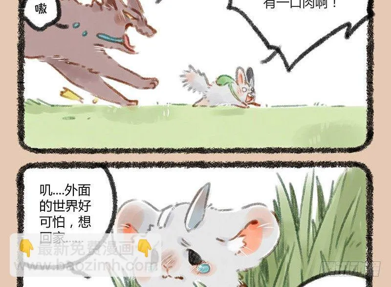 鼠生艰难 第9页