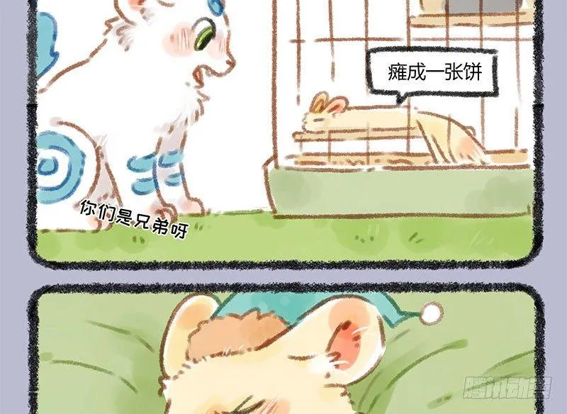 弟弟带男友回家了！ 第8页