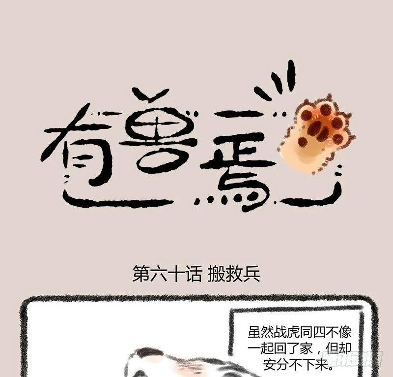 白虎也是喵~ 第1页