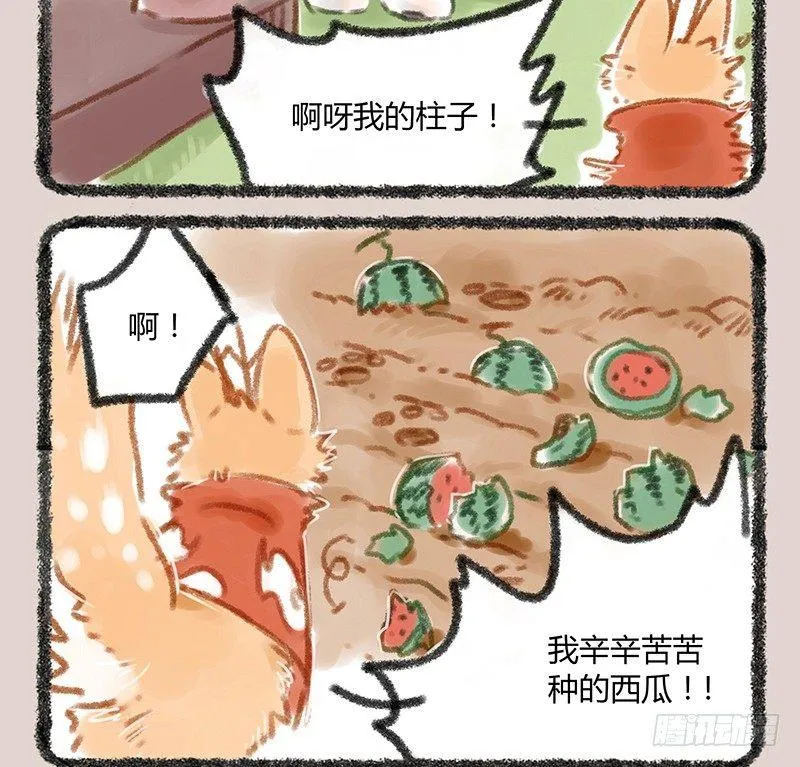 白虎也是喵~ 第3页